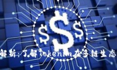 Tokenim兼容性解析：了解Tokenim在多链生态中的应用